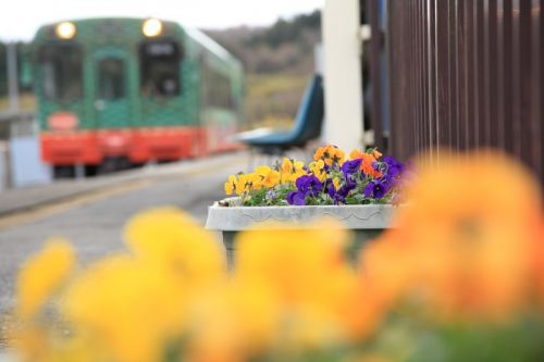 駅に咲く花