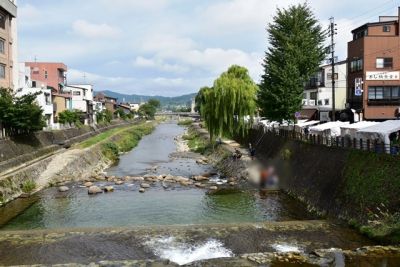 アルピコ交通モハ10形リバイバル塗装列車