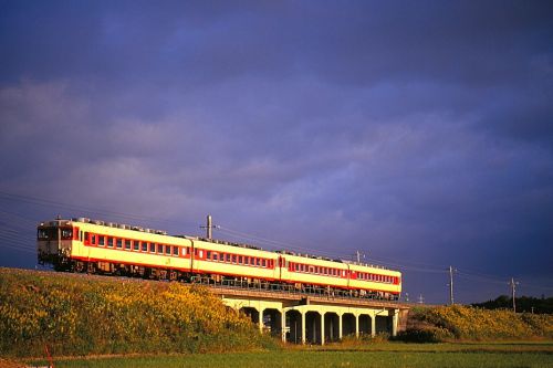 伊勢鉄道を夕暮れ時の斜光線に照らされた懐かしのキハ28系とキハ48系