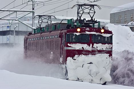 上越カッター (雪確認列車) 単8741レ EF81 134 2021.1.20