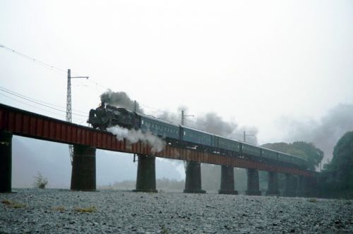 SL3列車運転の 大井川鐡道 1994.11.3