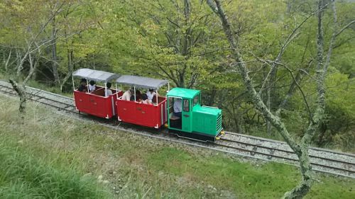 【知られざる鉄道②】シグナス森林鉄道 ☆ ラックレールもあるミニ鉄道