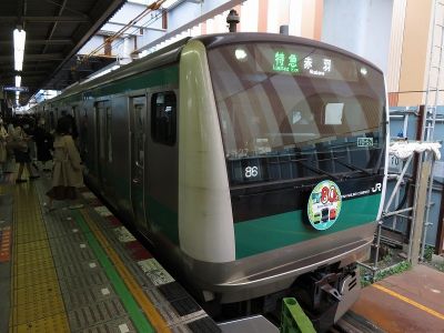 JR東日本E233系7000番台(川越線80周年) 相鉄本線特急赤羽行き