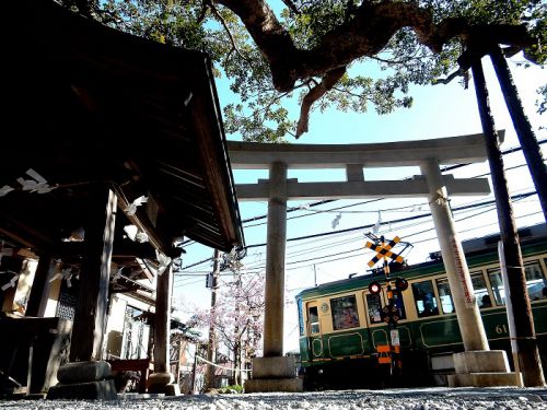 【江ノ電】鎌倉駅からお散歩ついでに 御霊神社(鎌倉権五郎神社)にて江ノ電と鳥居を絡めて撮り鉄