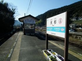 大杉駅(高知県)