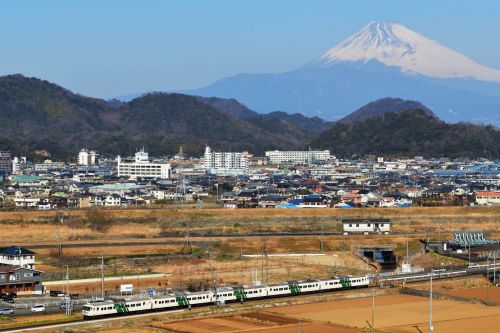 伊豆箱根鉄道で185