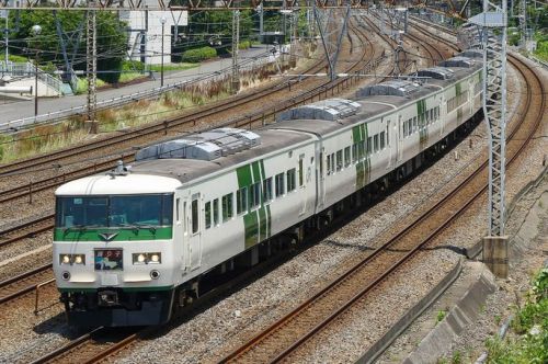 東京駅ホームの一角に185系対策? これでもかと貼られた立入禁止。そのワケをJRに聞いた