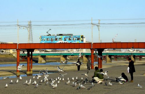 下町を走る電車!