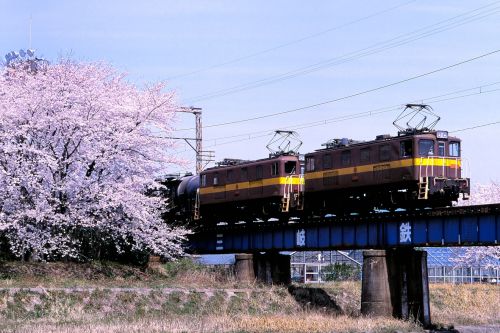 三岐鉄道の桜の季節となった宇賀川橋梁を行くED45重連牽引のセメント貨物他(大安~三里)