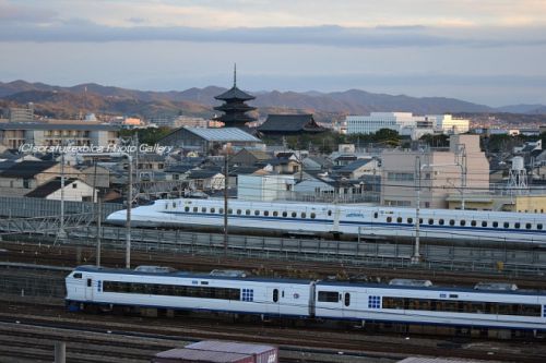 N700系と関空特急と五重塔