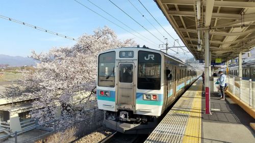 青春18きっぷで桜の名所めぐり! 甚六桜・大法師公園など、中央本線・身延線周遊ルートには桜の名所がたくさん!