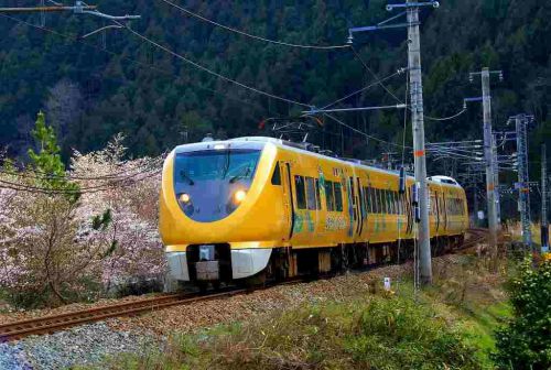 289系ラッピング列車！