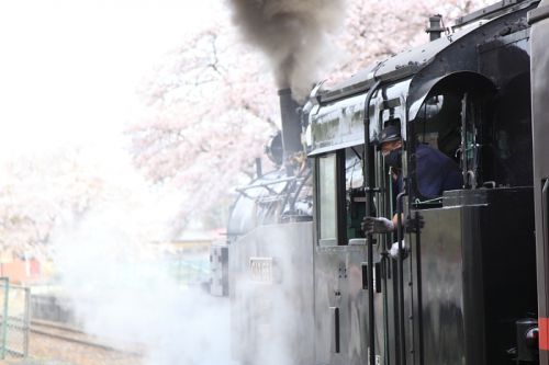 桜の駅で手を振る