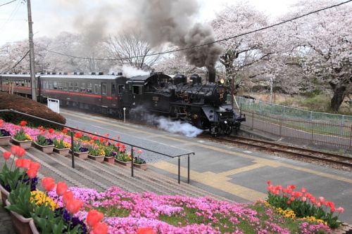 春の花いっぱいに包まれる駅