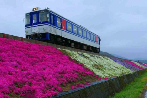 雨の高速特急を捉える!