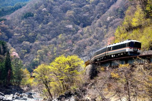 高山本線の春が近ずく飛騨川の渓谷を行くキハ85系特急「ワイドビューひだ号」(飛騨小坂~渚)