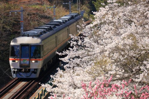 高山本線の第17益田川橋梁の桜風景を行くキハ85系特急「ワイドビューひだ号」(飛騨小坂~渚間)