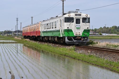 [小湊鉄道]キハ40+キハ200急行さと山号運転