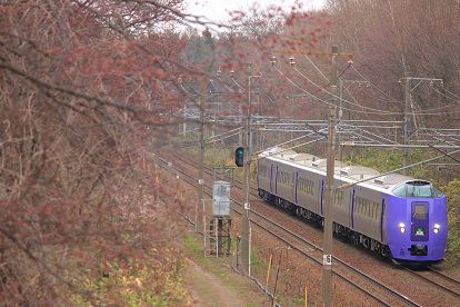 旭川駅と富良野駅で一般公開を実施したキハ261系5000番台ラベンダー編成~札幌に帰る復路を撮影する