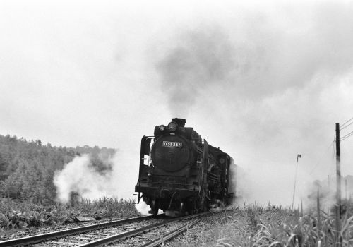 留萌本線 D51347が恵比島駅から留萌へ向かう