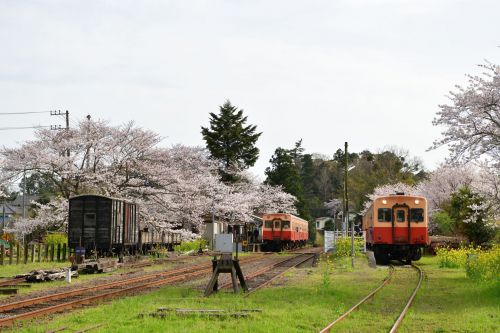 春の里見駅全景