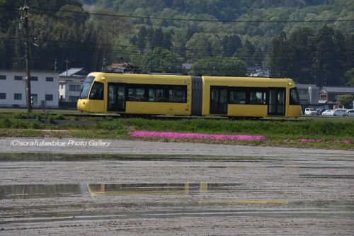 えちぜん鉄道ki-bo 春の田園風景を駆ける1