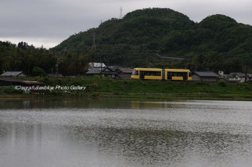 えちぜん鉄道ki-bo 春の田園風景を駆ける6
