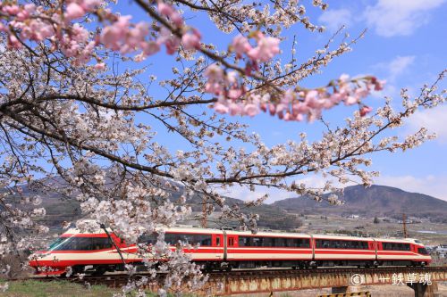 夜間瀬の桜と特急ゆけむり