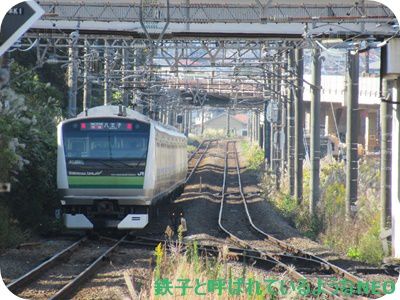 2020年11月・長津田駅~青葉台駅周辺をぶらり その1