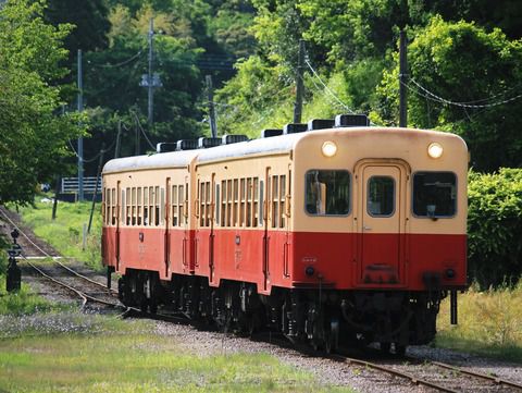 小湊鐵道7-2(上総中野駅 キハ200)