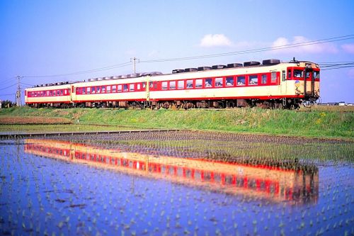 山陰本線の田植え時期を行くキハ２８＋５８系快速「とっとりライナー」と１８１系特急「くにびき」（淀江～大山口）