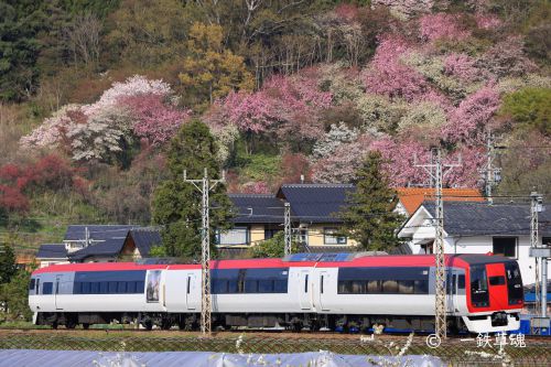 山桜とハナモモと特急2本