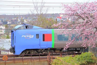 千歳線の新札幌~上野幌間のサクラと列車