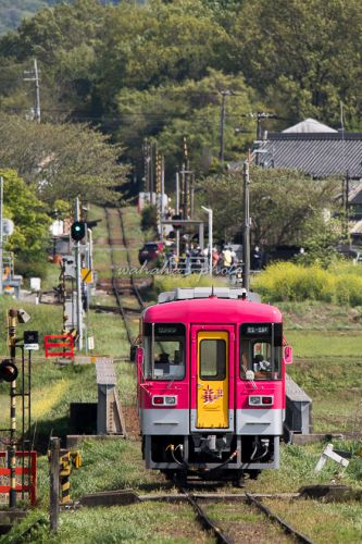 北条鉄道の春②