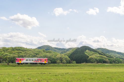 北条鉄道の春③