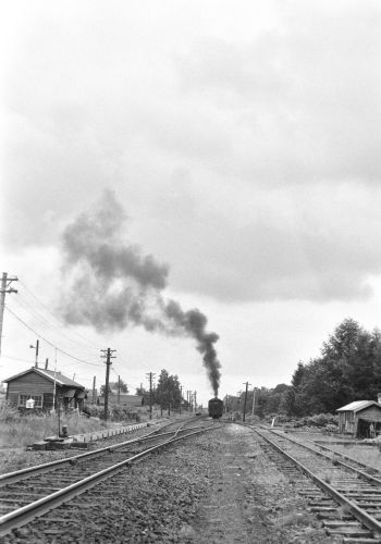 宗谷本線 蘭留駅構内でD51953を撮る