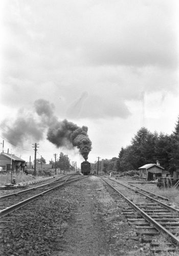 宗谷本線 蘭留駅構内でD51953を撮る(2)