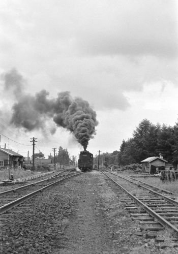 宗谷本線 蘭留駅構内でD51953を撮る(3)