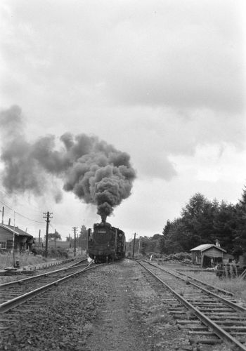 宗谷本線 蘭留駅構内でD51953を撮る(4)