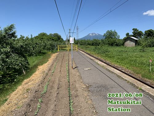 2021鉄道・で・ソレイユ episode3:芽が早くも出てきた編