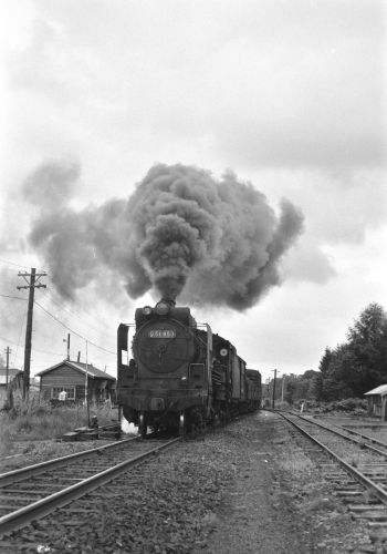 宗谷本線　蘭留駅構内でＤ５１９５３を撮る（５）