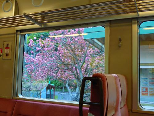 JR名松線 盲腸線の終着駅 伊勢奥津へ【近鉄スナックカー&JR名松線の旅⑥ 最終回】