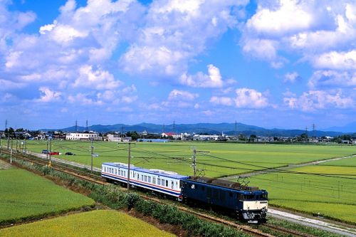 信越本線の夏の水田風景を行く懐かしのEF64牽引の甲種輸送と485系特急「北越」(押切~北長岡)