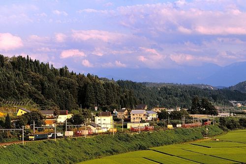 上越線の夏の穀倉地帯を行く懐かしのEF64重連牽引のコンテナ貨物と115系ローカル列車(小千谷~越後川口)