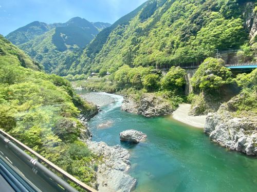 【アンパンマン列車】で大歩危から高知へ!/『バースデイきっぷ』で行く、四国一周旅行-6