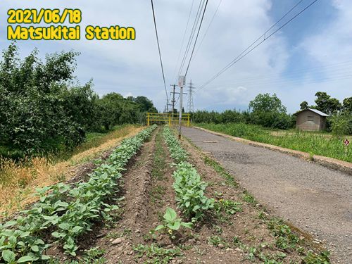 2021鉄道・で・ソレイユ episode4:今年は成長が早い編