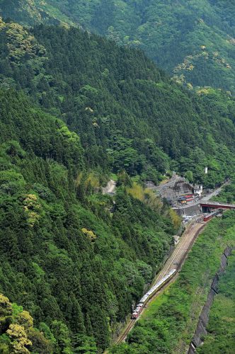 復路は大歩危駅俯瞰