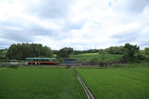 緑に包まれる駅