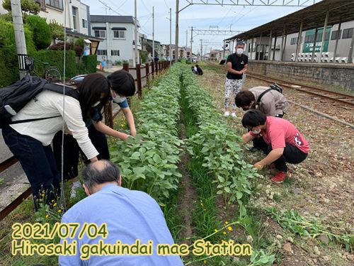 2021鉄道・で・ソレイユ episode5:種まきから1か月。順調に成長中!!編