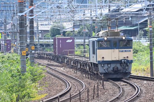 中央西線「今日のロクヨン」81レ、超スカスカ列車!